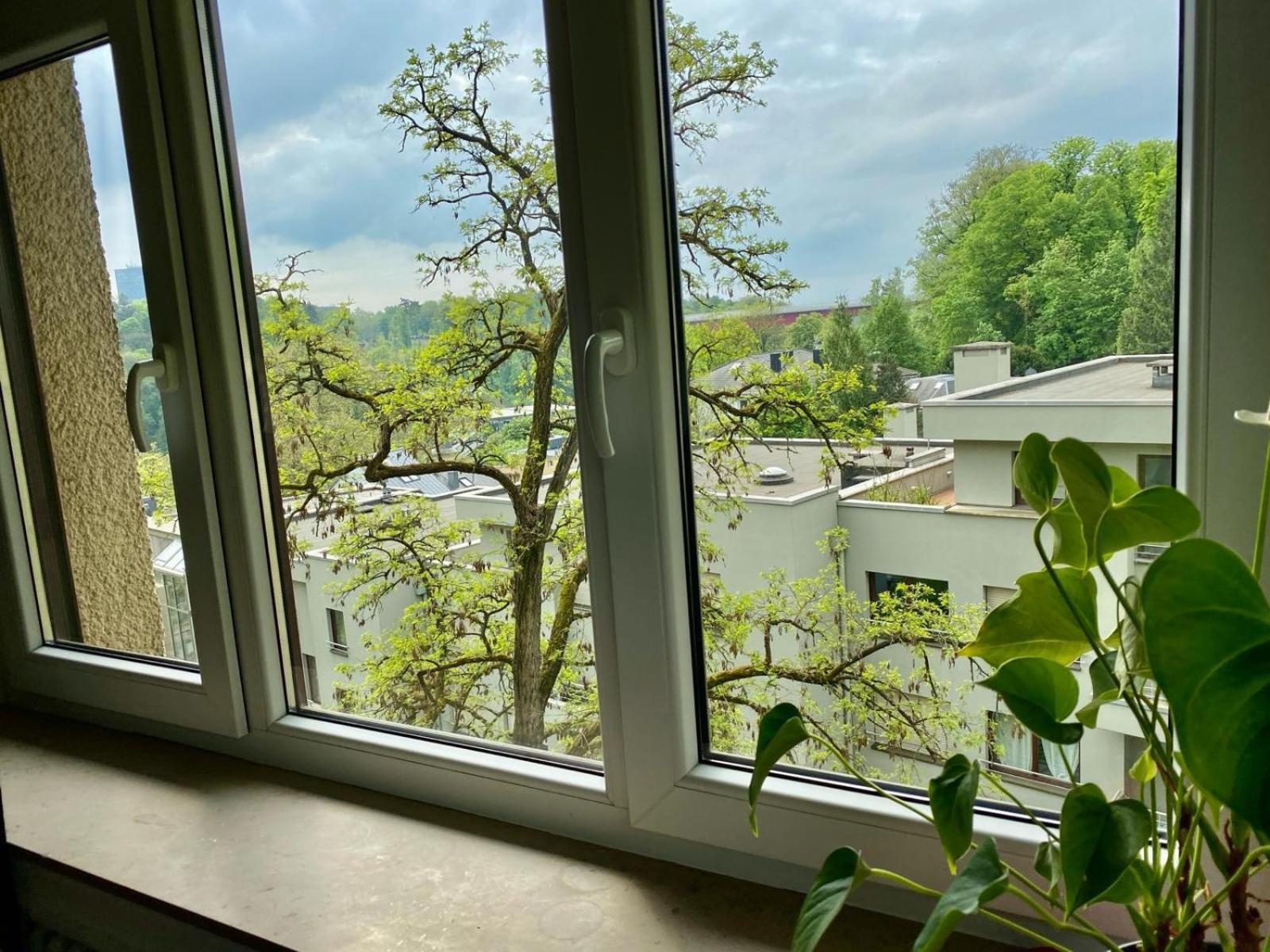 Rue Des Glacis Limpertsberg Otel Lüksemburg Dış mekan fotoğraf